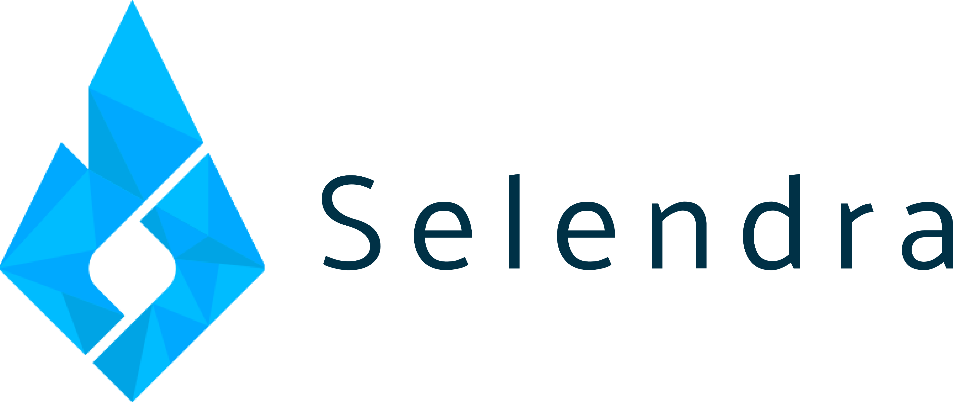 selendra logo