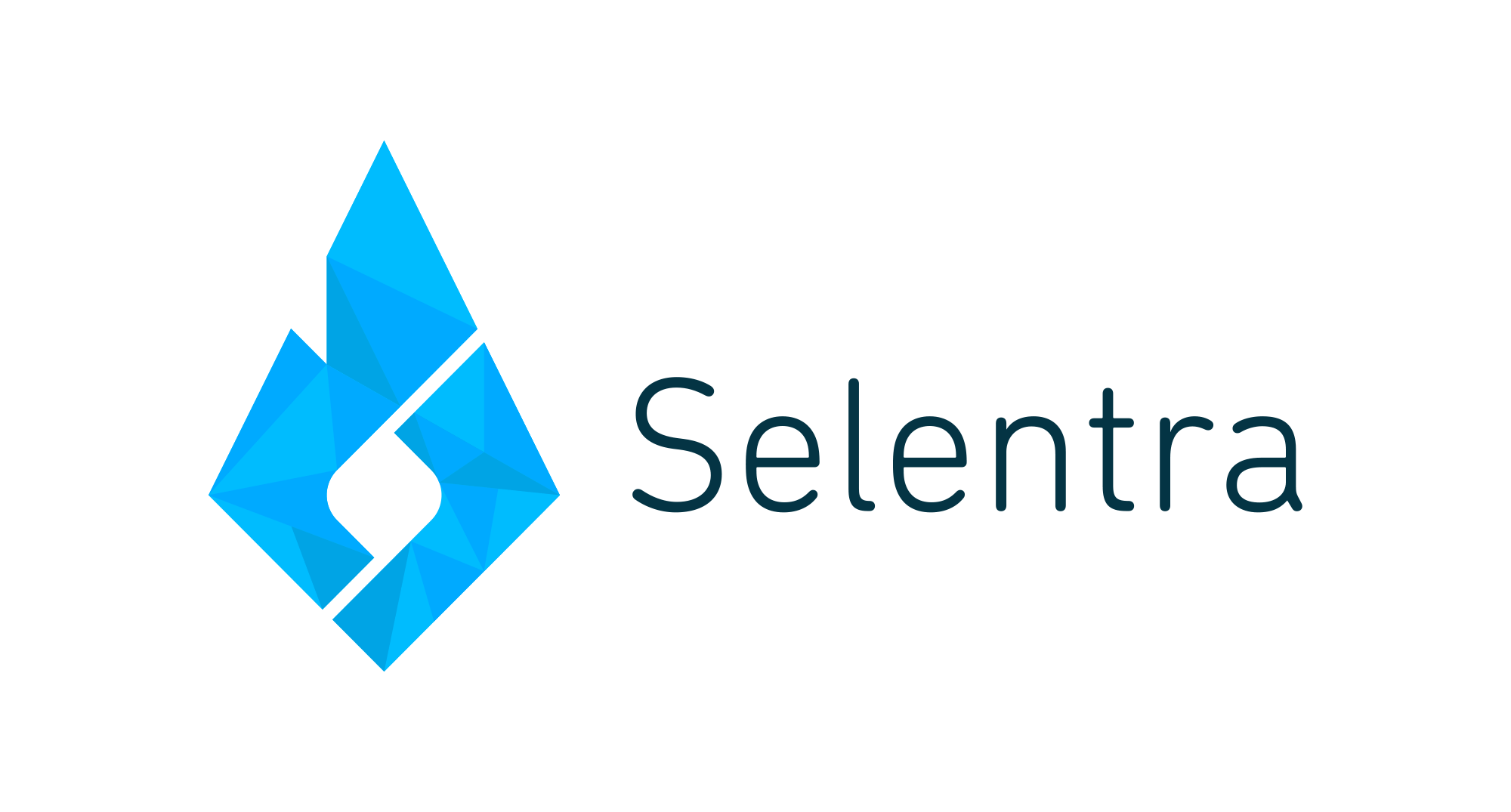 selendra logo